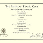 Parker AKC CH