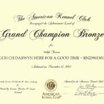 Trooper AKC Bronze GCh 2014