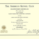 Trooper AKC CH