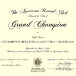 Trooper AKC GCH