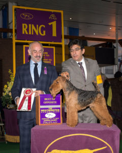 Trooper BOS WKC2015 Sm