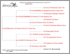 Trooper DHereForAGoodTime3gen