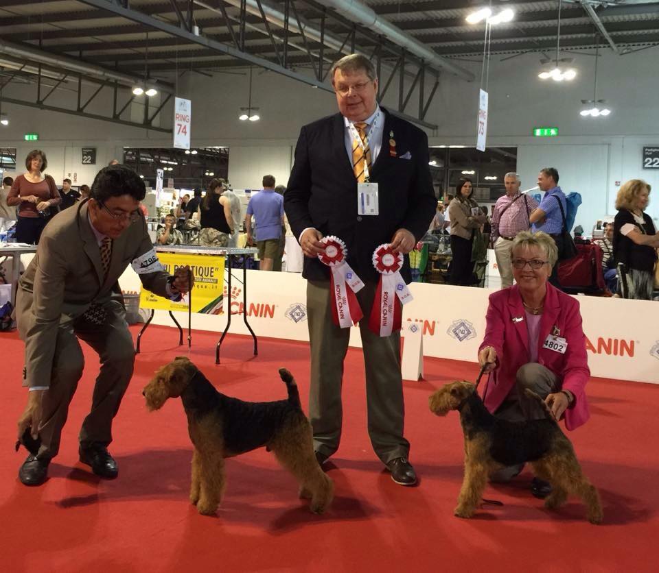 Trooper Ernesto WDS2015 MilanItaly BOB TerrierSpecailty