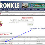 Trooper No3Welsh 2014 USAa