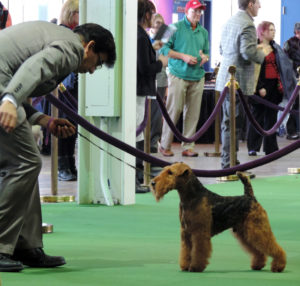 WKC2015 Trooper Ernesto