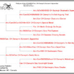 Mickey DSorcerersApprentice 3gen