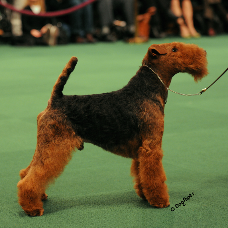 1 Parker Westminster Beth Profile Full DSC 1242