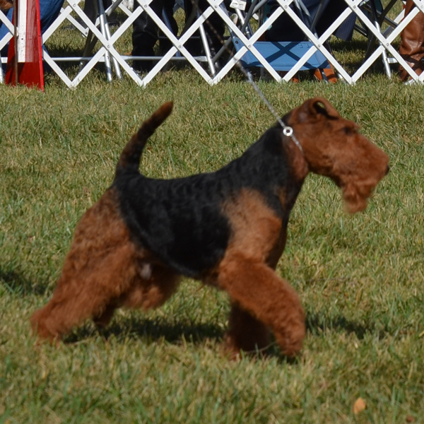 10 Java Larisa MCKC14 Move FromJaneE