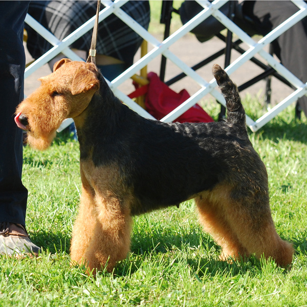 11 Dora Mont11 Profile2