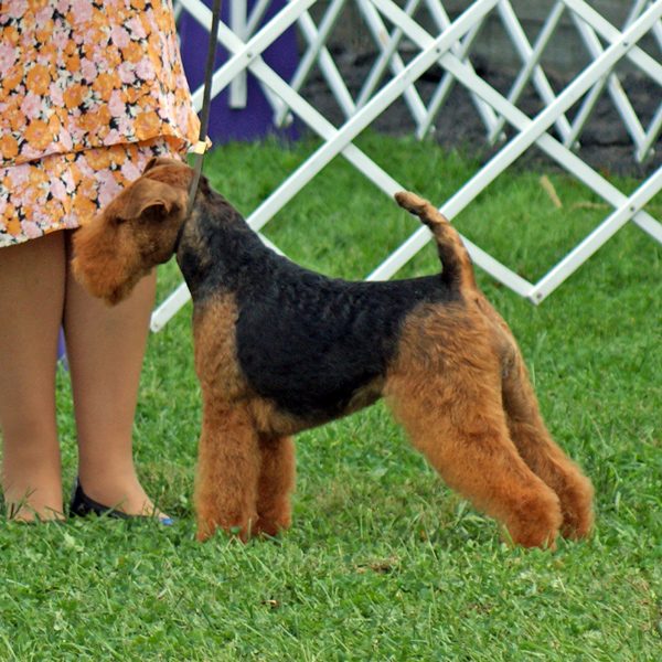 17 Morgana HatboroII WB JennyRangel 5554 Square