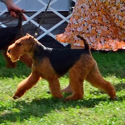 18 Morgana Move 8372a