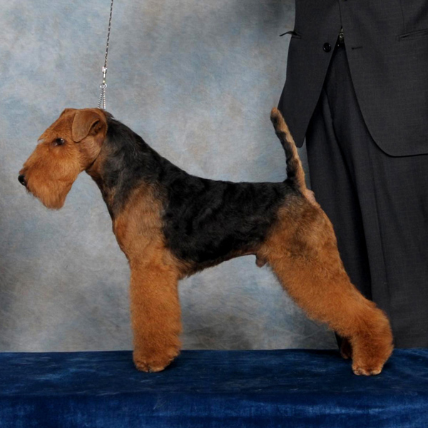 5 Mar12 CKOC Joe BIS Wild A