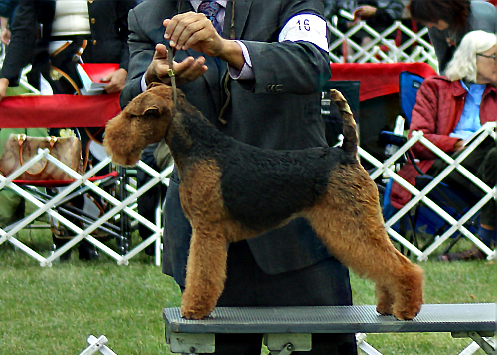 DSC06434a