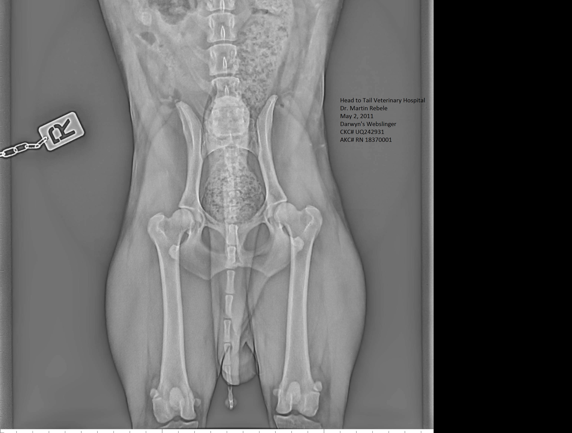 Hip XRay Parker