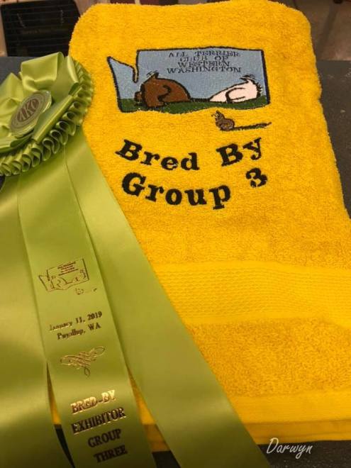 Robbie is Canada’s #1 Welsh Terrier – 2019!