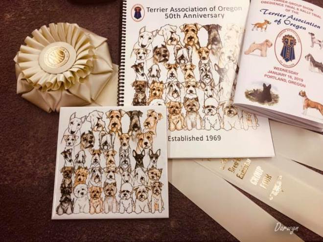 Robbie is Canada’s #1 Welsh Terrier – 2019!