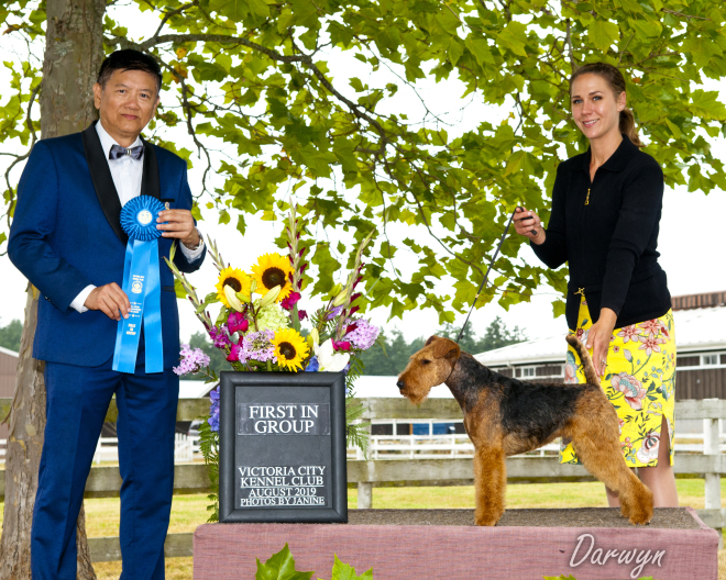 Robbie is Canada’s #1 Welsh Terrier – 2019!