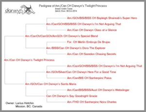 Zelda DTwilightPrincess 3gen