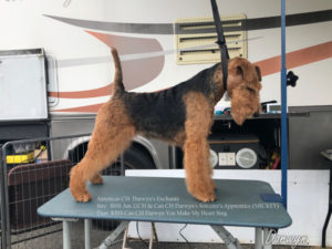 Chante Profile Aug2019 A