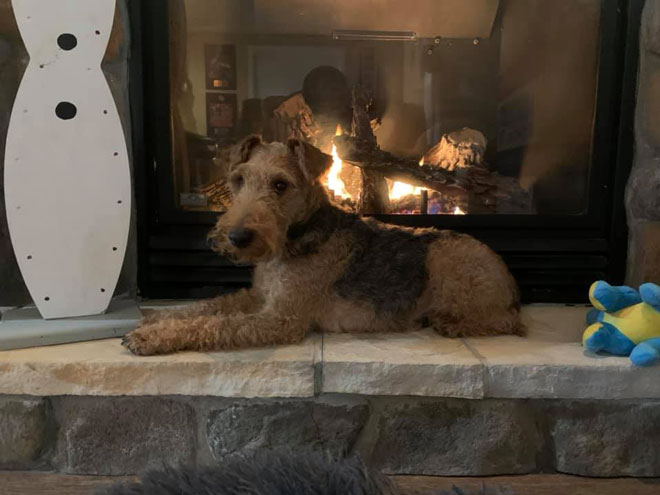 Filly Fireplace
