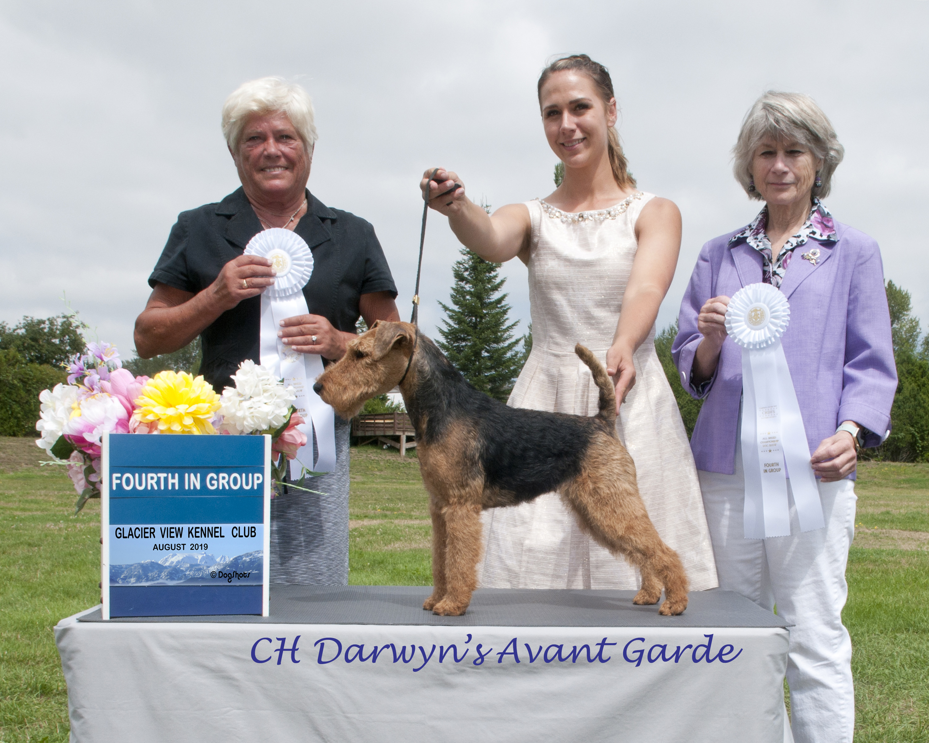 Darwyn Welsh Terriers