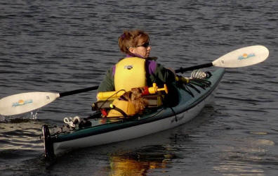 Darwyn Welsh Terriers Becky kayaking