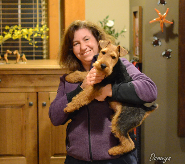 Darwyn Welsh Terriers