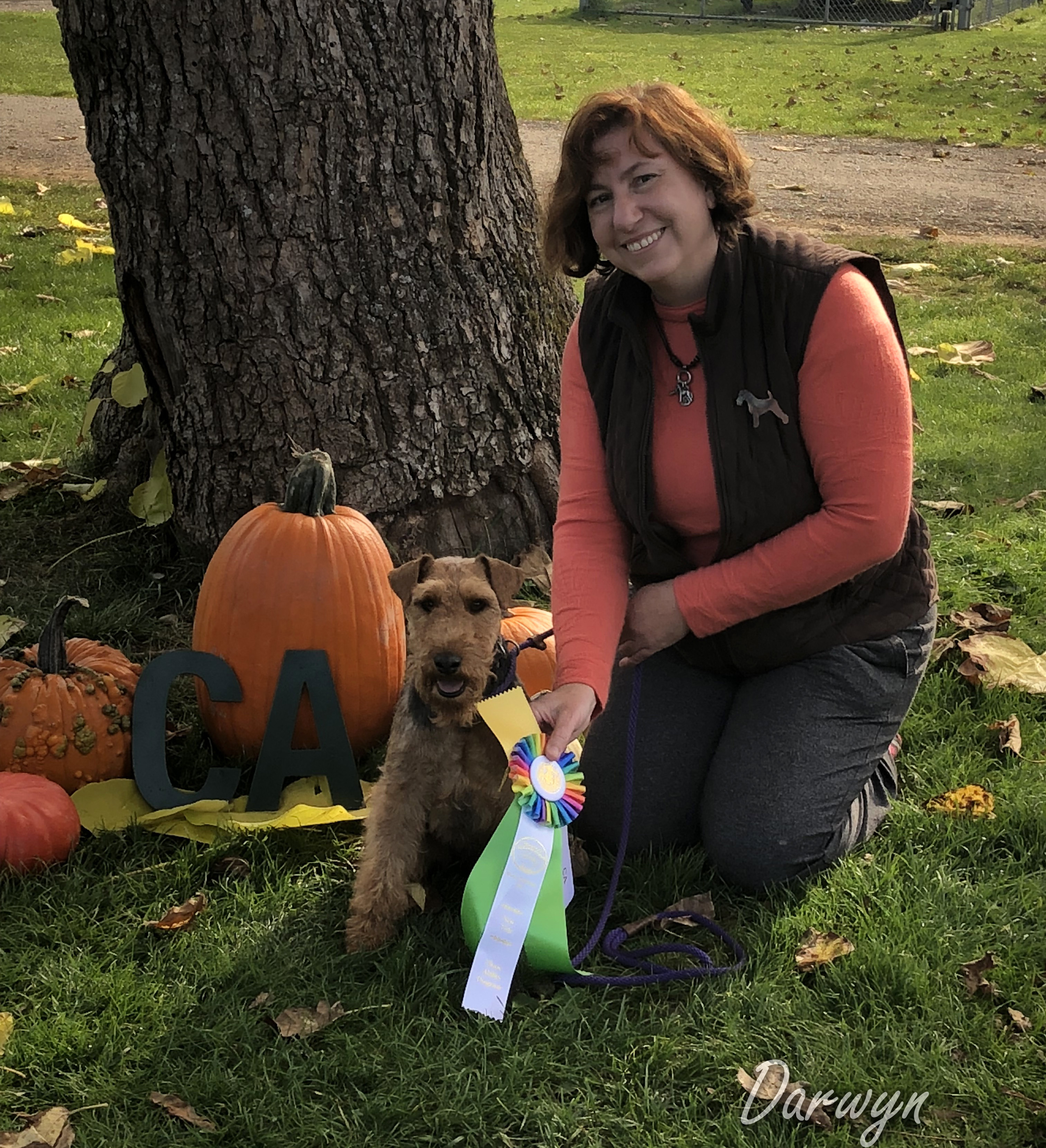 Darwyn Welsh Terriers