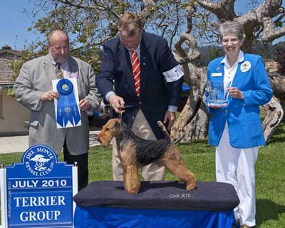 Darwyn Welsh Terriers