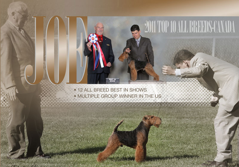 Top 10 of All Breeds for 2011!