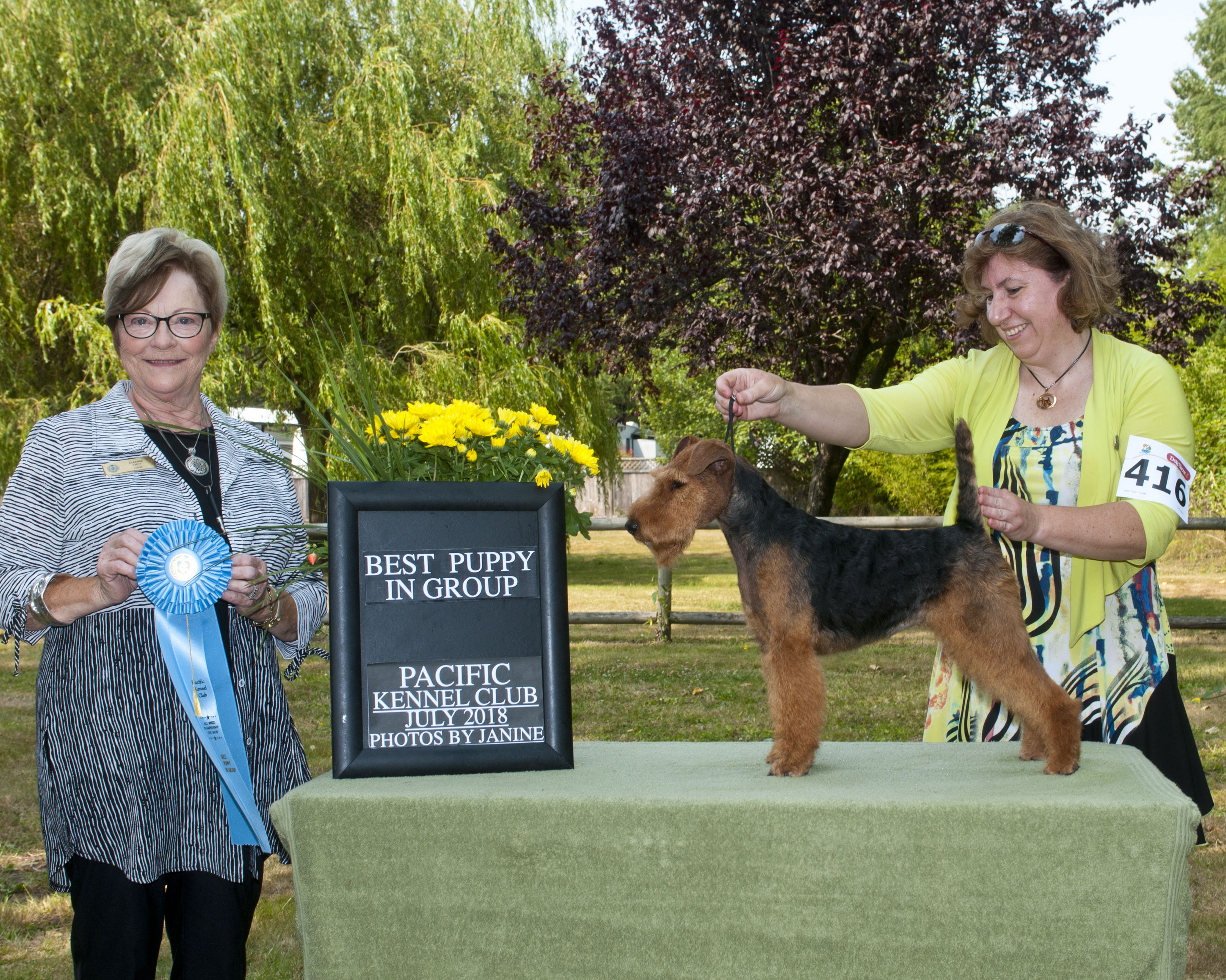 Darwyn Welsh Terriers