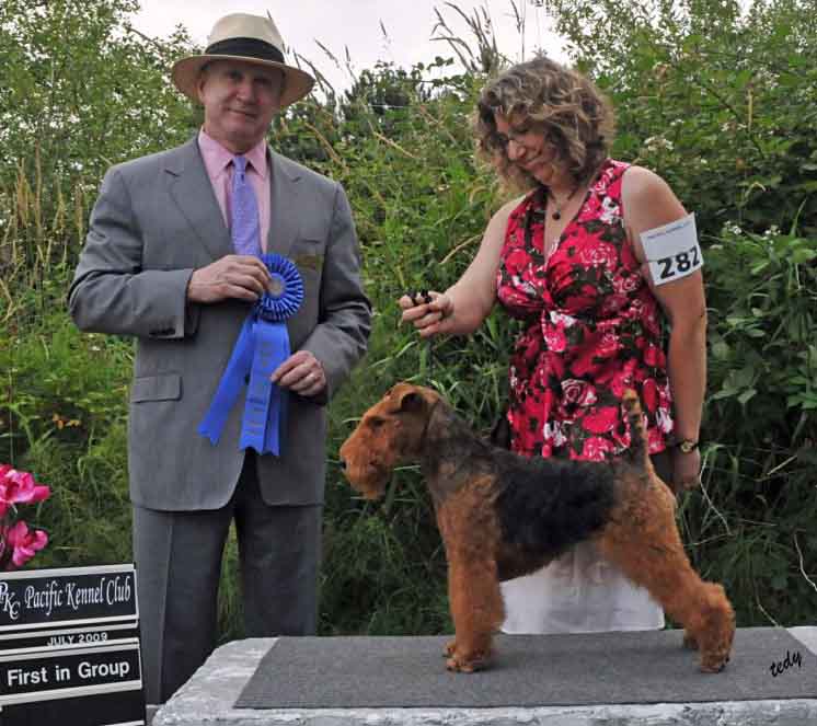 Welsh Terrier Ch Sanherpinc Paisa with Larisa with Group 1st award