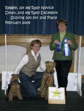 Darwyn Welsh Terriers picture of Dylan with obedience award