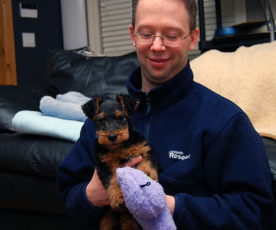 Darwyn Welsh Terriers