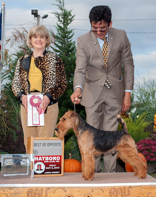 Darwyn Welsh Terriers