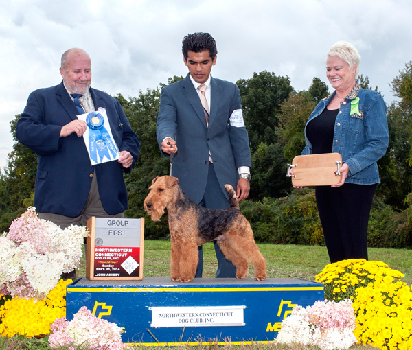 Darwyn Welsh Terriers