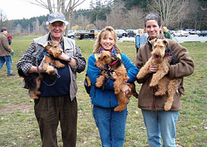 Darwyn Welsh Terriers