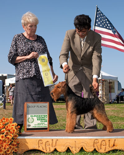 Darwyn Welsh Terriers