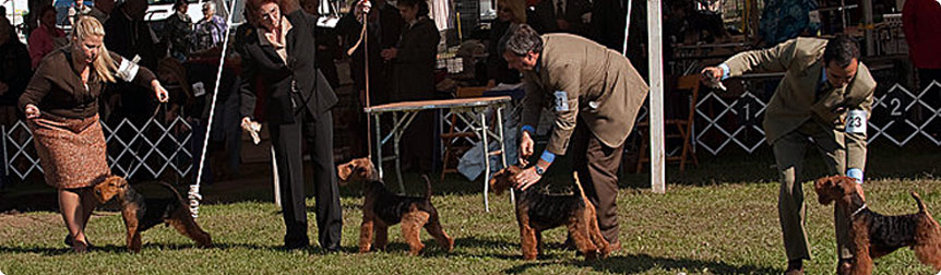 Montgomery 2009 Open Dog Line Up